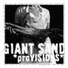 Giant Sand, *proVISIONS*