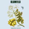 Blumfeld, Verbotene Fruchte