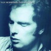 Van Morrison, Into the Music