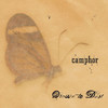 Camphor, Drawn to Dust
