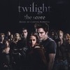 Carter Burwell, Twilight: The Score