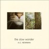 A.C. Newman, The Slow Wonder