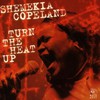 Shemekia Copeland, Turn the Heat Up