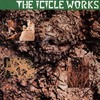 The Icicle Works, The Icicle Works