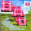 Various Artists, Bravo Hits 65