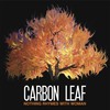 Carbon Leaf, Nothing Rhymes With Woman