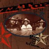 ZZ Top, One Foot in the Blues
