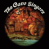 The Cave Singers, Welcome Joy