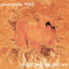 The Pineapple Thief, Abducting the Unicorn