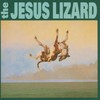 The Jesus Lizard, Down