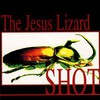 The Jesus Lizard, Shot