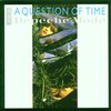 Depeche Mode, A Question of Time