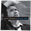 David Fonseca, Between Waves