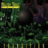 Walter Trout Band, Transition