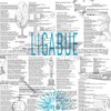 Luciano Ligabue, Ligabue