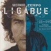 Luciano Ligabue, Secondo tempo