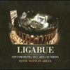 Luciano Ligabue, Sette notti in Arena