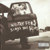 Everlast, Whitey Ford Sings the Blues