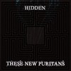 These New Puritans, Hidden