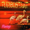 Turbostaat, Flamingo