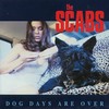The Scabs, Dog Days Are Over