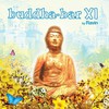 Ravin, Buddha-Bar XI