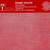 Sonic Youth, SYR 1: Anagrama