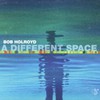 Bob Holroyd, A Different Space