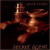 Judie Tzuke, Secret Agent