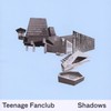 Teenage Fanclub, Shadows