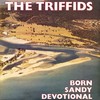 The Triffids, Born Sandy Devotional