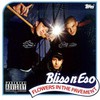 Bliss n Eso, Flowers in the Pavement