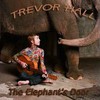 Trevor Hall, The Elephant's Door