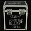 Indigo Girls, Staring Down The Brilliant Dream