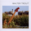 Walter Trout, Common Ground