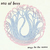 Sea of Bees, Songs for the Ravens