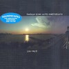 Lou Reed, Hudson River Wind Meditations