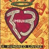 Timbuk 3, A Hundred Lovers