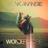 Skunk Anansie, Wonderlustre