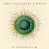 Medeski Martin and Wood, Radiolarians III
