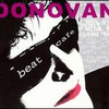 Donovan, Beat Cafe