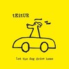 Teitur, Let the Dog Drive Home