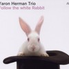 Yaron Herman Trio, Follow the White Rabbit