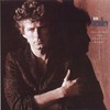 Don Henley, Building the Perfect Beast