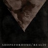 A Hope for Home, Realis