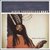 Alvin Youngblood Hart, Down in the Alley