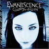 Evanescence, Fallen