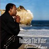 Ronnie Laws, Voices in the Water
