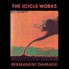 The Icicle Works, Permanent Damage