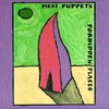 Meat Puppets, Forbidden Places